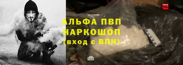 прущие грибы Абаза