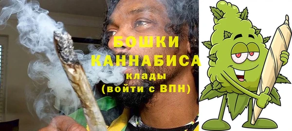 сатива Абинск