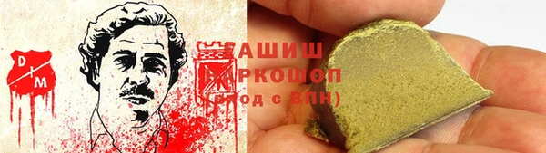 прущие грибы Абаза