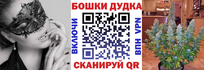 Бошки марихуана план  наркота  Симферополь 